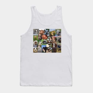 cows aesthetic collage Tank Top